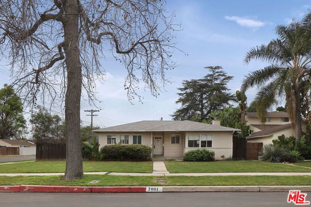 7001 Bianca Avenue photo 2