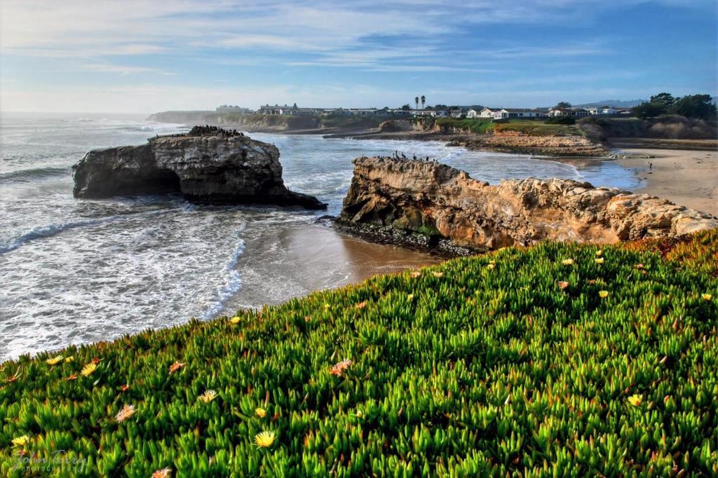 MLS #ML81910471 image #62