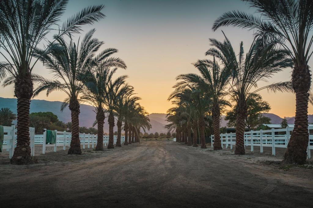 https://media.crmls.org/mediaz/d583a306-bc0a-4593-bc81-60fd8cc1b24c.jpg?preset=X-Large