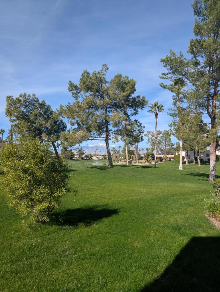 MLS #219139189DA image #24