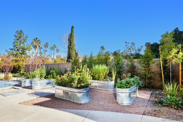 Community Garden