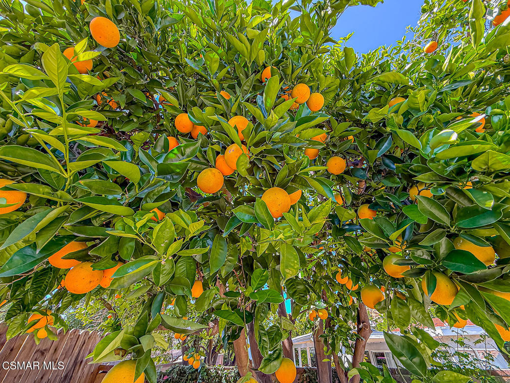 https://media.crmls.org/mediaz/d5925a37-74d5-4648-bdc4-3d7278469fff.jpg?preset=X-Large