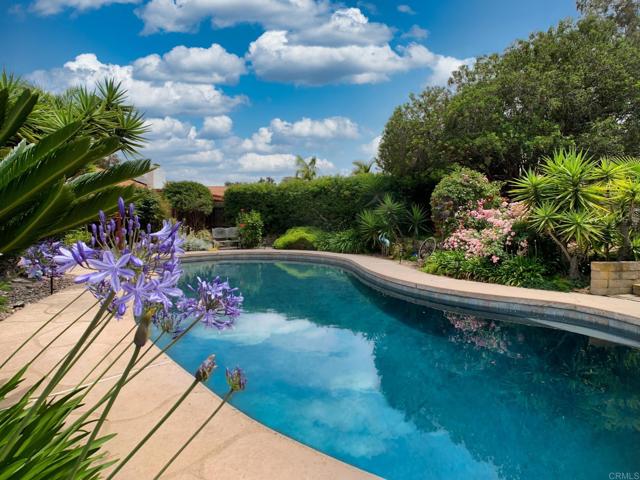 3812 Wild Oats Ln, Bonita CA: https://media.crmls.org/mediaz/d59dba1e-3529-4f6c-be32-52c3a87cec4b.jpg
