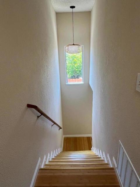 1037 Evans Court, Hayward CA: https://media.crmls.org/mediaz/d5a0bf4d-9bed-4790-a4ca-2977ea710d6e.jpg
