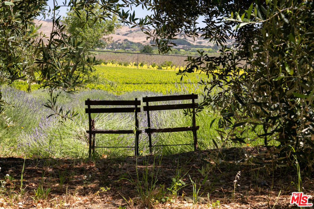 https://media.crmls.org/mediaz/d5b68985-1b5d-4ca2-8650-c348e5a6fa89.jpg?preset=X-Large