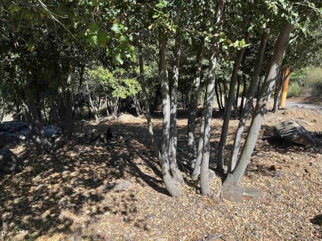 17099 Iron Springs Rd, Julian CA: https://media.crmls.org/mediaz/d5b979ae-725f-4608-9009-b85f1529361f.jpg