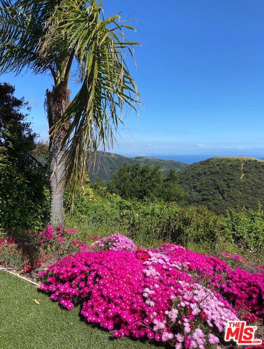 Drew Fenton | 23208 W Paloma Blanca Drive Malibu CA | MLS: 7205706