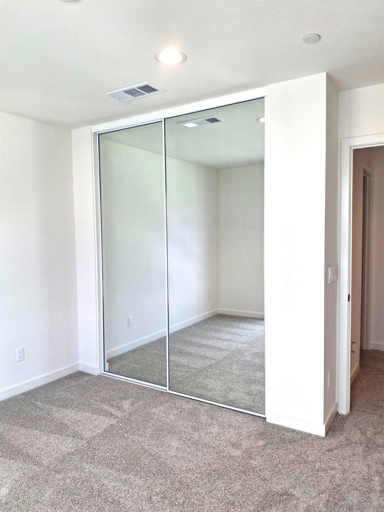 2586 Delphinium - photo 12