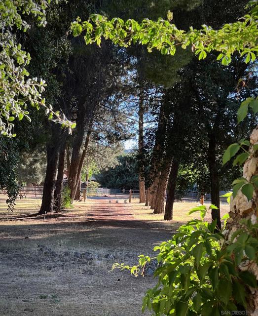 28967 Oak Ln, Pine Valley CA: https://media.crmls.org/mediaz/d5cdbdec-d79c-44b9-9f54-3171c41cb777.jpg