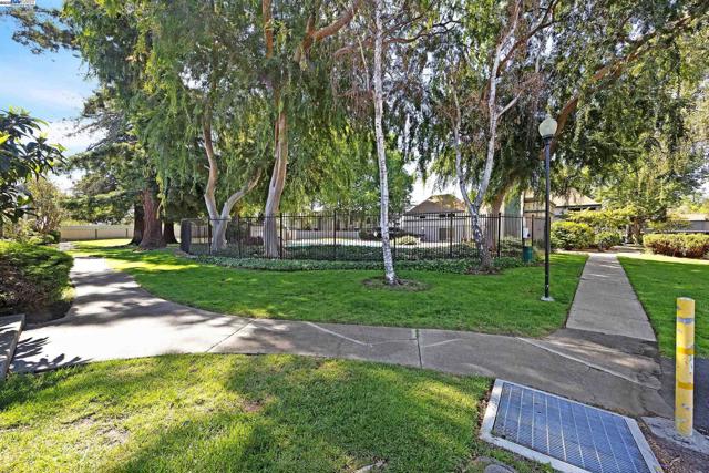 3545 Northwood Drive, Concord CA: https://media.crmls.org/mediaz/d5d5e872-70bf-4a59-b0ee-bc0a55823139.jpg