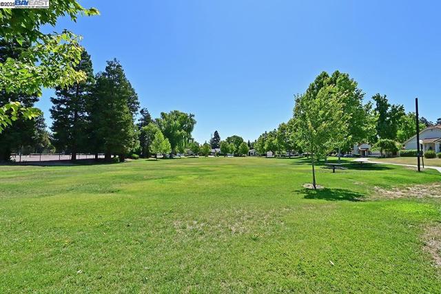 476 Mulqueeney St, Livermore CA: https://media.crmls.org/mediaz/d5d7c47d-6318-4de4-88bc-464a6e044626.jpg