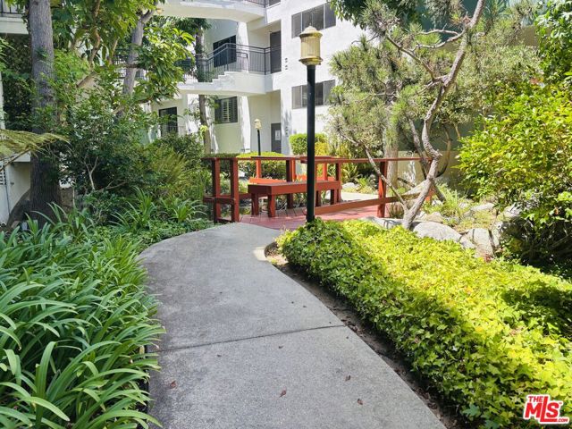 Lush Walkway with Coi Pond
