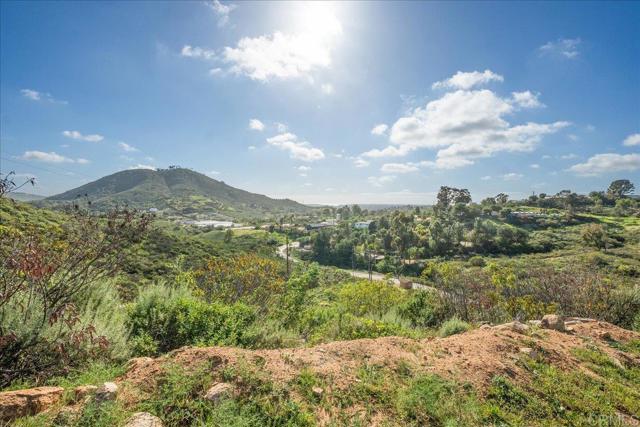 Detail Gallery Image 19 of 30 For 20545 Aguilera Ln, Escondido,  CA 92029 - – Beds | – Baths