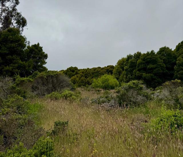 0 Bonita, Half Moon Bay CA: https://media.crmls.org/mediaz/d5e882cc-a284-4d8e-9434-9c710fd74084.jpg