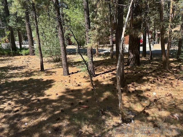 535 W Rainbow Blvd, Big Bear CA: https://media.crmls.org/mediaz/d5f7e8ec-4c12-46f4-af67-6b23525836dc.jpg