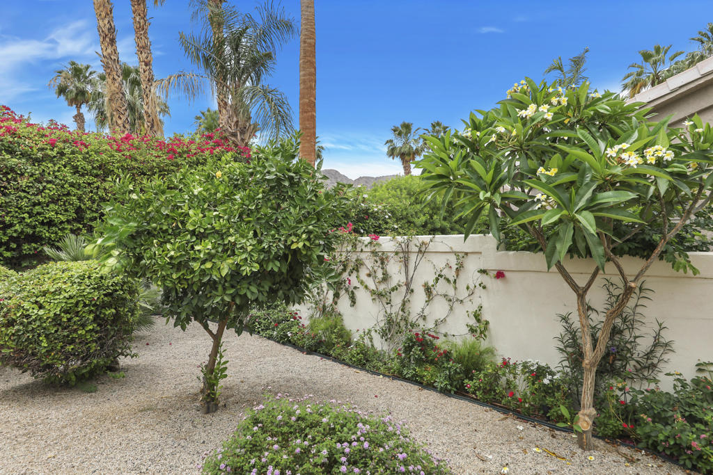 MLS #219130777DA image #35