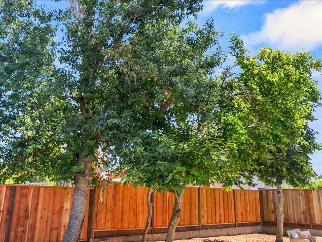1507 New Bedford ct Court, San Jose CA: https://media.crmls.org/mediaz/d6194ae1-d1ee-4509-adfa-0dfbe1617fd2.jpg