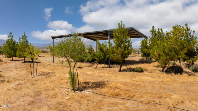 Detail Gallery Image 6 of 15 For 0 Hwy 33, Unincorporated,  CA 93252 - – Beds | – Baths