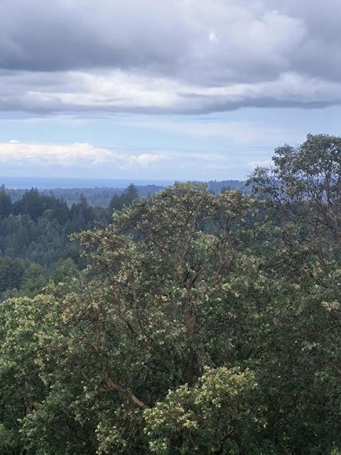 1380 Amaya Ridge Road, Soquel CA: https://media.crmls.org/mediaz/d6198ba3-b0a8-4ceb-ae38-9eb1d265c682.jpg