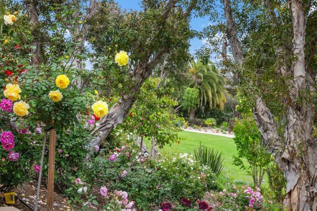 16590 Calle Familia, Rancho Santa Fe CA: https://media.crmls.org/mediaz/d61c7157-f684-4e9c-b153-dc35051473ec.jpg