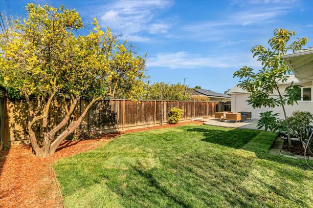 Image 45 of 48 For 493 Novato Avenue
