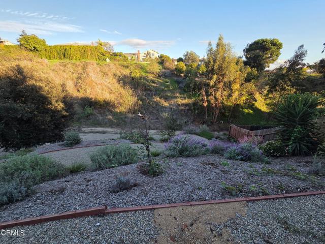 Detail Gallery Image 41 of 46 For 448 Court Ave, Ventura,  CA 93003 - 3 Beds | 2/1 Baths