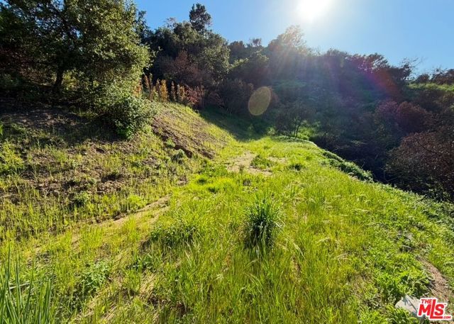 0 Fir Ridge Drive, Topanga CA: https://media.crmls.org/mediaz/d6303ba0-1f45-4cd4-9ca8-09ea13184ab2.jpg