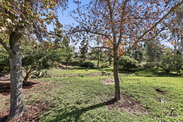 Detail Gallery Image 38 of 40 For 4873 Sunrise Valley Dr., El Cajon,  CA 92020 - 4 Beds | 2 Baths