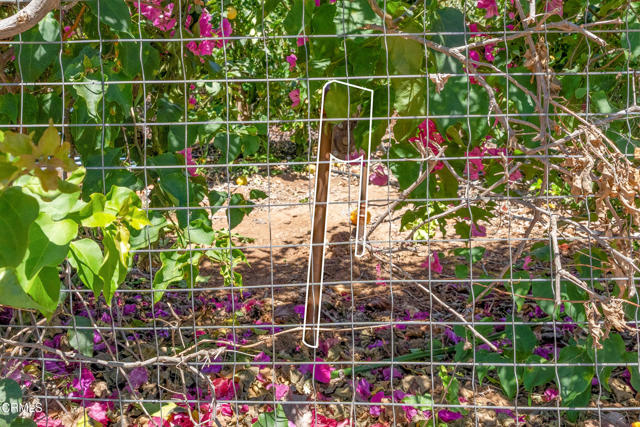 0 View Drive, Santa Paula CA: https://media.crmls.org/mediaz/d6407784-3379-4193-9835-02636297b321.jpg