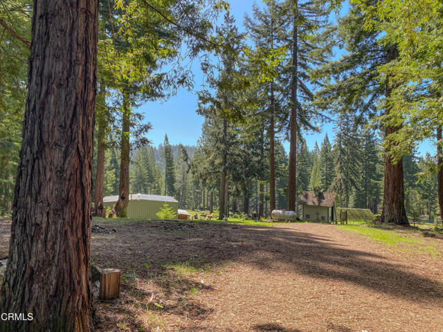 Detail Gallery Image 44 of 49 For 13740 Peregrine Rd, Boonville,  CA 95415 - – Beds | – Baths