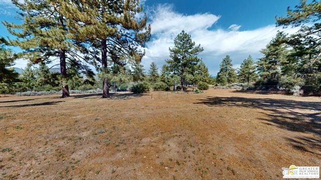 60164 Devils Ladder Road, Mountain Center CA: https://media.crmls.org/mediaz/d645fe12-0829-4500-a7bf-60292225056b.jpg