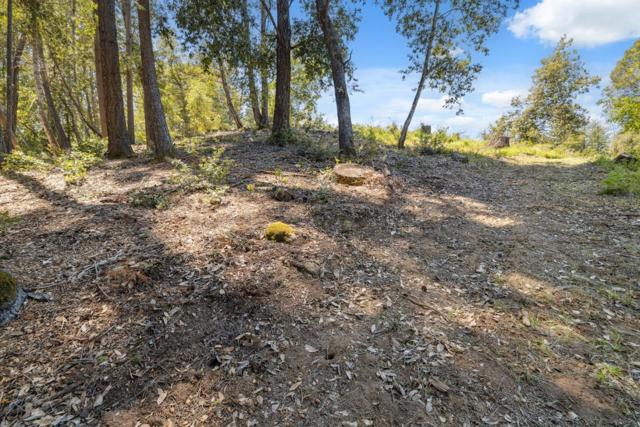 601 Westdale Drive, Santa Cruz CA: https://media.crmls.org/mediaz/d646c964-9ec3-4dcc-a40a-92d4ba1eb56f.jpg