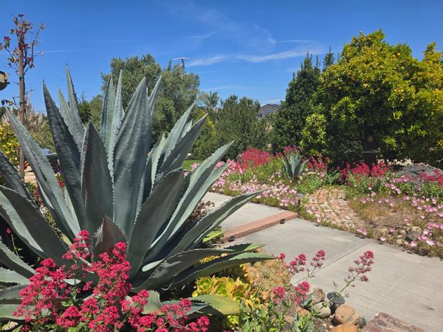2 MESA DEL SOL,  CA: https://media.crmls.org/mediaz/d65058f7-de5a-4c2c-935d-d7f6dd21db7f.jpg