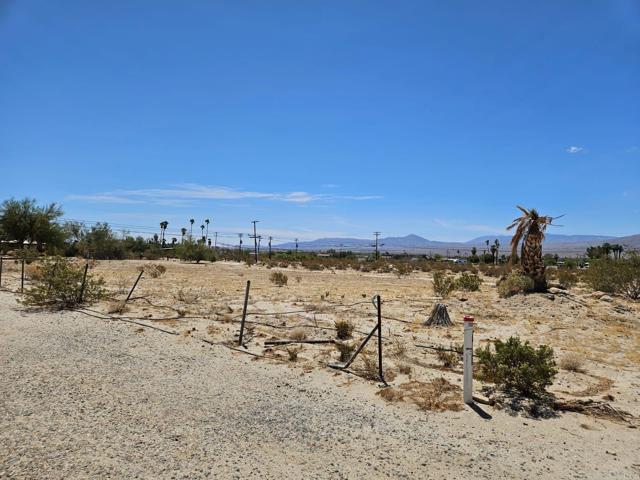 Detail Gallery Image 5 of 9 For 2395 Borrego Springs Rd, Borrego Springs,  CA 92004 - 2 Beds | 2 Baths