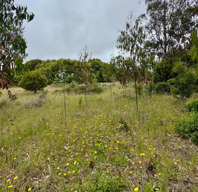 0 Bonita, Half Moon Bay CA: https://media.crmls.org/mediaz/d6631e2d-a14a-4e97-9e60-5cb866b28e18.jpg