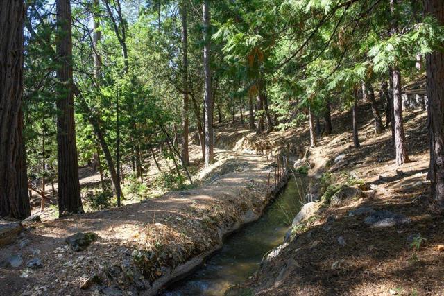 18861 Lookout Drive, Twain Harte CA: https://media.crmls.org/mediaz/d66558e1-2210-4dd5-9d00-f64802ecd484.jpg