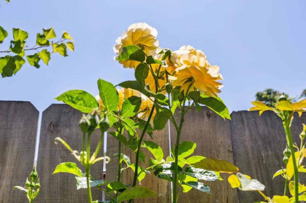 https://media.crmls.org/mediaz/d66dbcda-e156-4d92-90b0-c68494e60fea.jpg?preset=X-Large