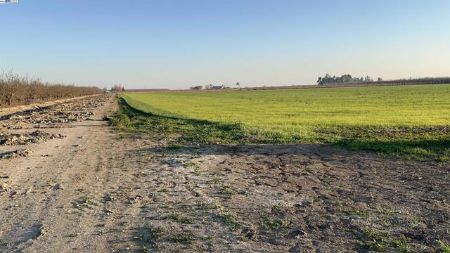 1290 Orange Ave, Patterson CA: https://media.crmls.org/mediaz/d679c09b-6ec3-4cc9-9733-4a41ee42e4df.jpg