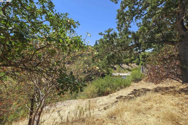 86 Candleston Place, Alamo CA: https://media.crmls.org/mediaz/d67c5a81-e8e1-4d3d-b2a2-bb320e54eb46.jpg