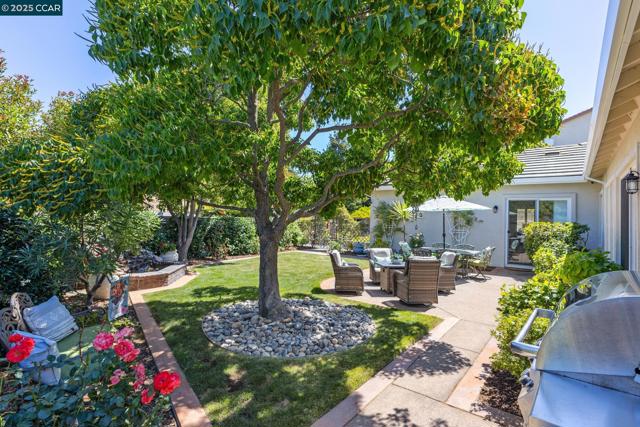 109 Forest Hill, Clayton CA: https://media.crmls.org/mediaz/d68a355d-a89a-4e12-be71-4377c4410f86.jpg