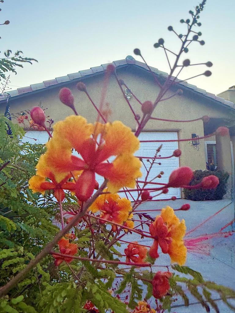 https://media.crmls.org/mediaz/d68aed16-2968-429e-b43c-c67a23693aca.jpg?preset=X-Large