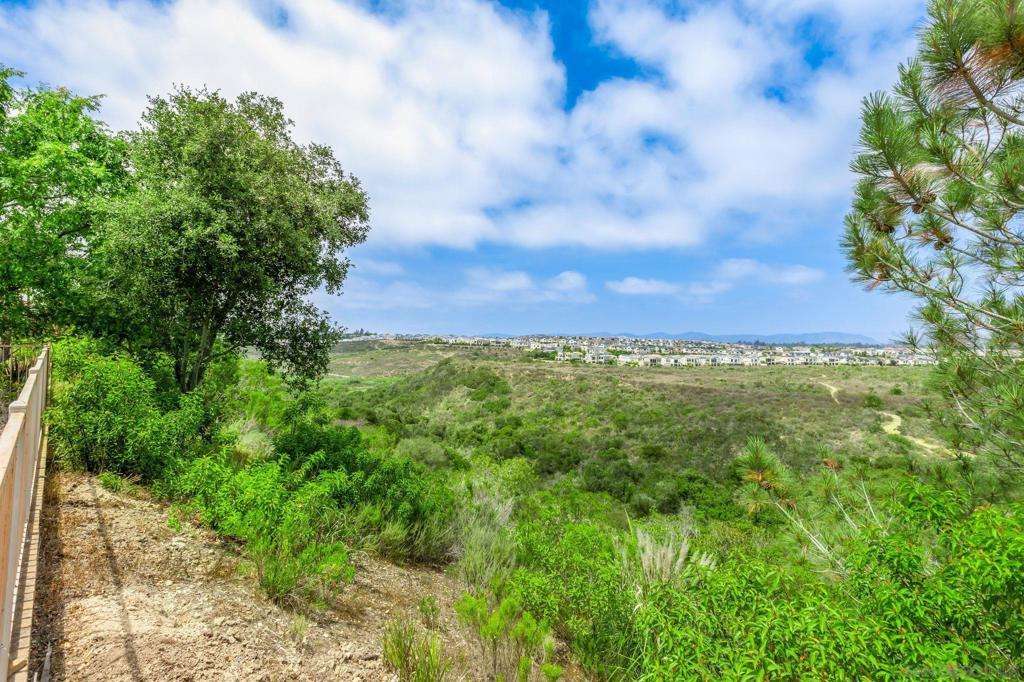 MLS #250041495SD image #6