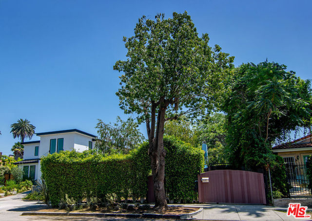 720 N Ogden Drive, Los Angeles CA: https://media.crmls.org/mediaz/d6974258-a059-4e77-ab5c-979c22219497.jpg