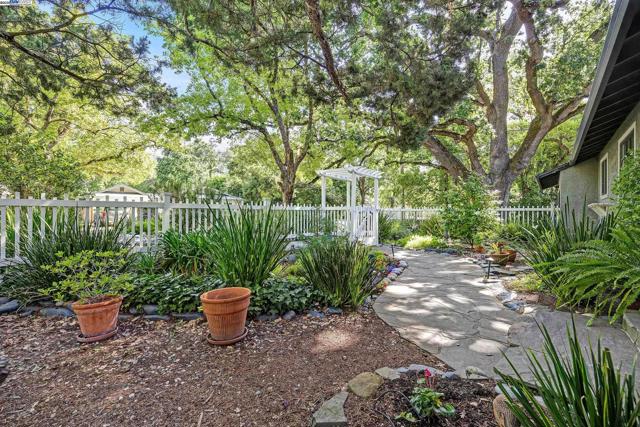 203 Roberta Ave, Pleasant Hill CA: https://media.crmls.org/mediaz/d699dbc0-4a0c-47d0-a7b8-659759798bc6.jpg