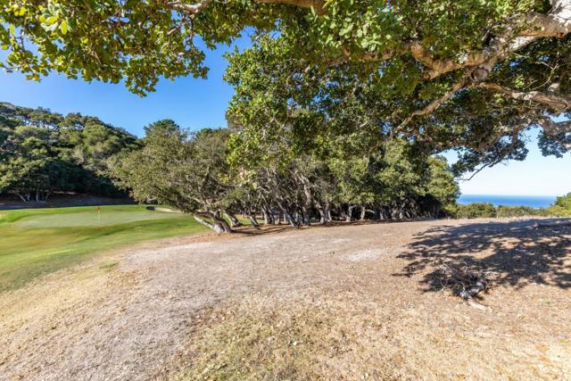 25520 Via Malpaso (Lot 92), Carmel CA: https://media.crmls.org/mediaz/d69f5ca2-5192-471e-b4d1-30729cb3569f.jpg