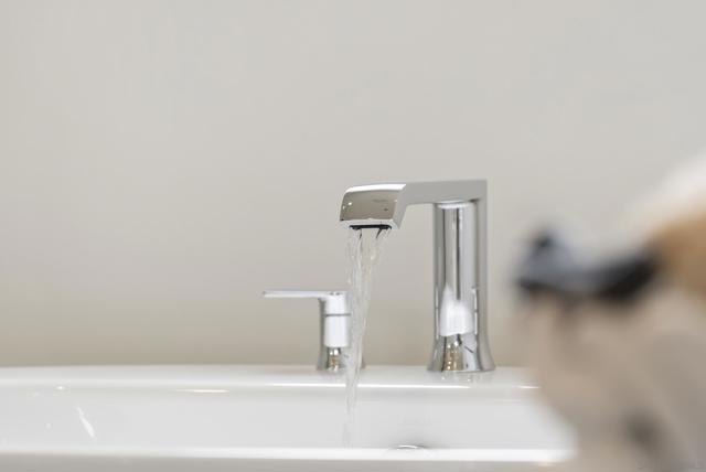 948 Visalia Pl, San Marcos CA: https://media.crmls.org/mediaz/d6a3d786-1b64-42d3-afb9-2461a4c96653.jpg