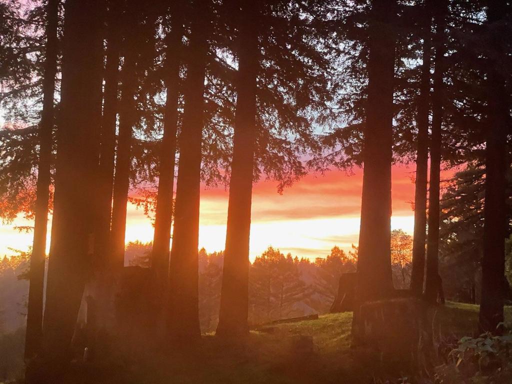 https://media.crmls.org/mediaz/d6a64bed-9840-4e82-9a6c-7dde489a8959.jpg?preset=X-Large