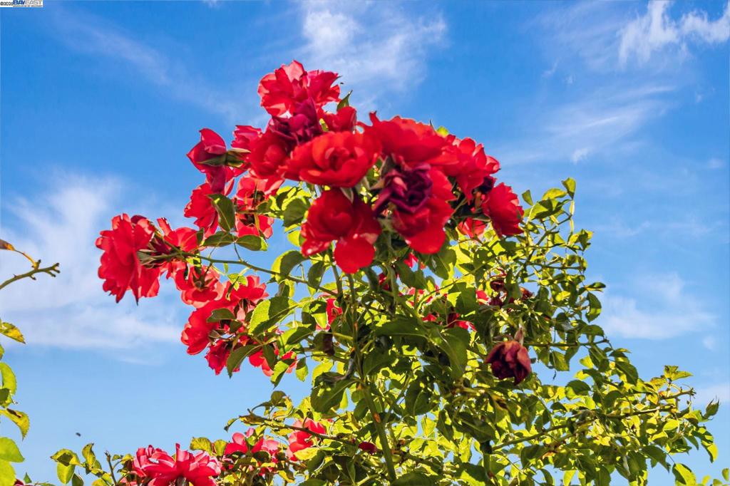 https://media.crmls.org/mediaz/d6acd859-72b3-4134-89e6-ff4e847a397b.jpg?preset=X-Large