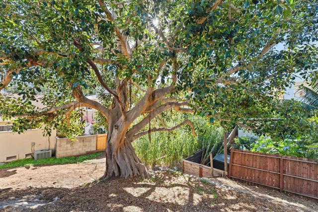 3678 Richmond St, San Diego CA: https://media.crmls.org/mediaz/d6b07e21-73b7-4aab-a6dc-d5aa9d9fdde9.jpg