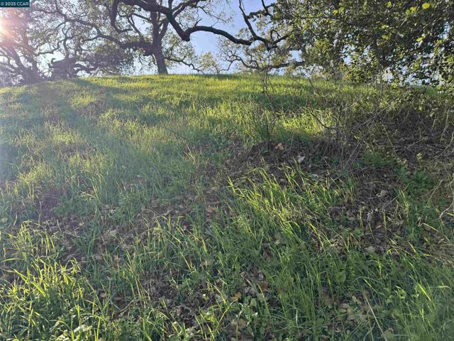 43 Cuesta way, Walnut Creek CA: https://media.crmls.org/mediaz/d6b70f06-44dc-4b45-91ec-fdeac8f86fcb.jpg